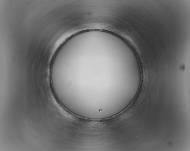 X0000110921424200907021449