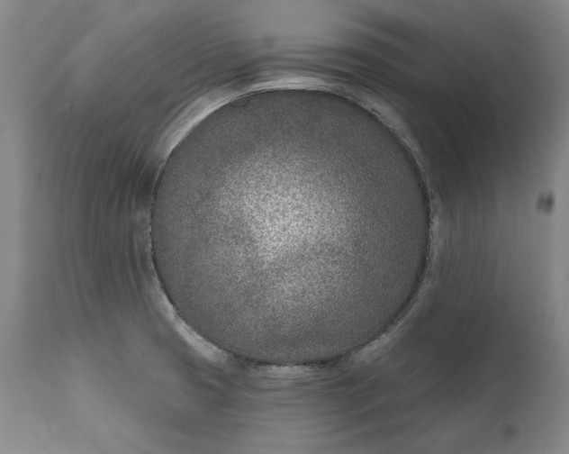 X0000110921425200907021449