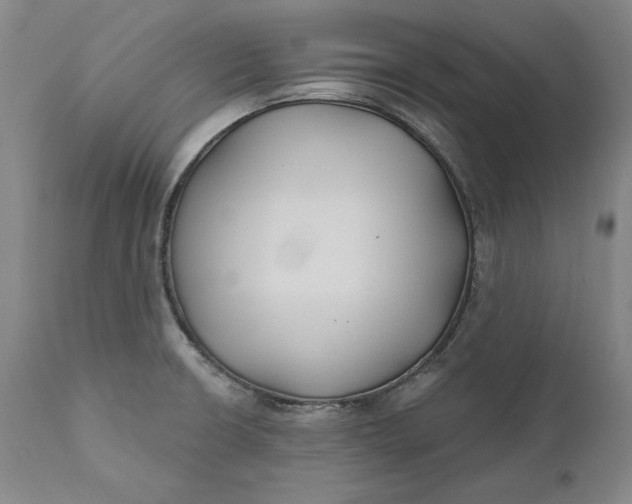 X0000110921426200907021449