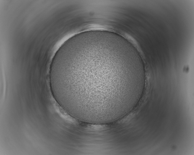 X0000110921427200907021449