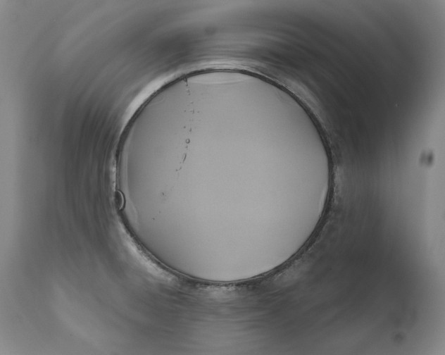 X0000110921428200907021449