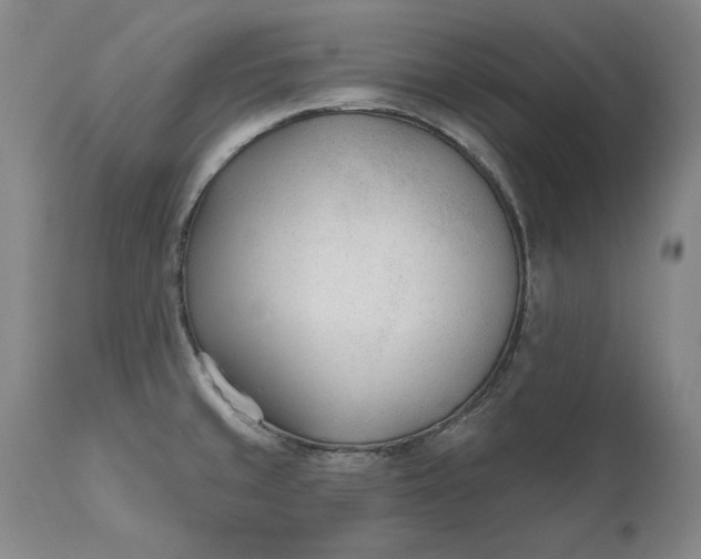 X0000110921429200907021449