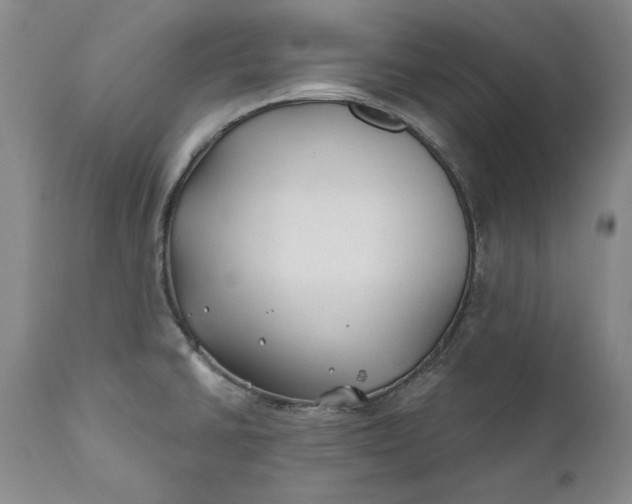 X0000110921430200907021449