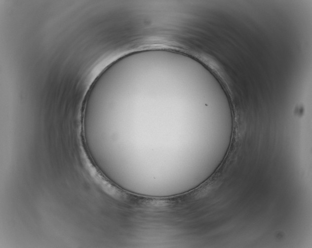 X0000110921431200907021449