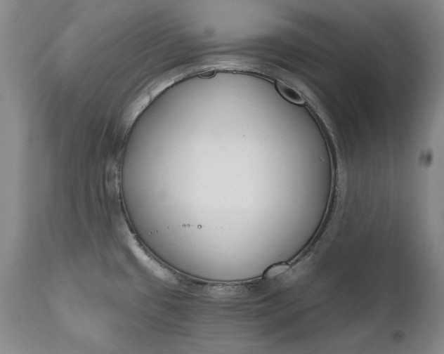 X0000110921433200907021449