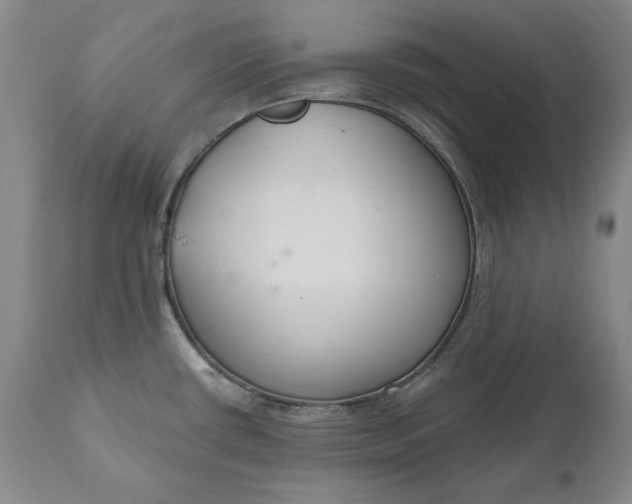 X0000110921434200907021449