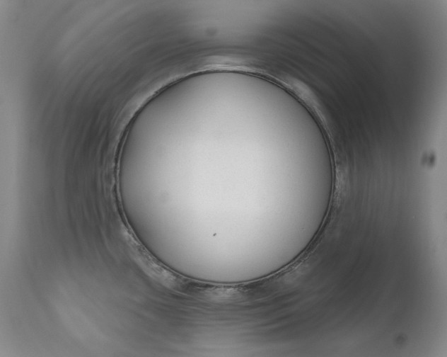 X0000110921435200907021449