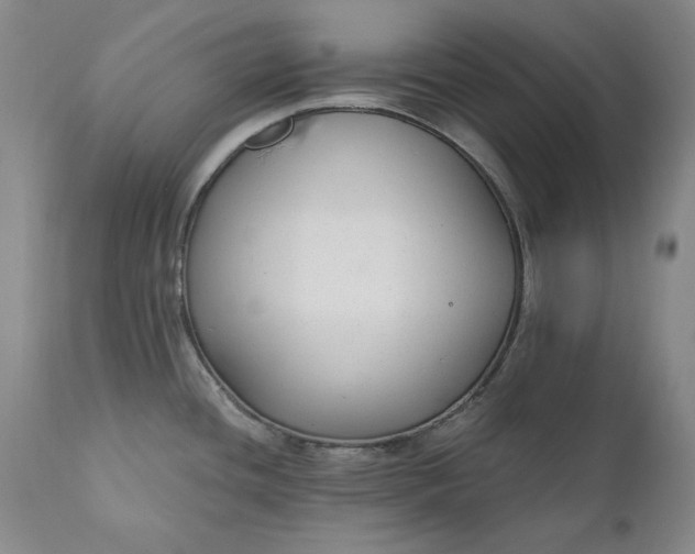 X0000110921436200907021449
