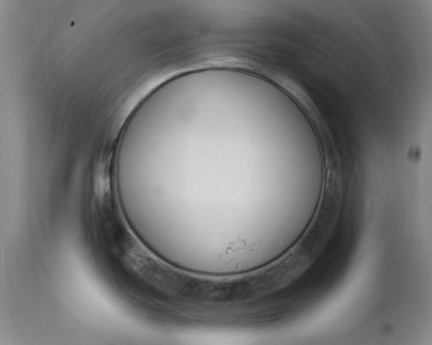 X0000110921439200907021449
