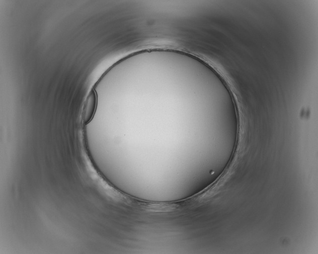 X0000110921440200907021449