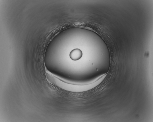 X0000110921441200907021448