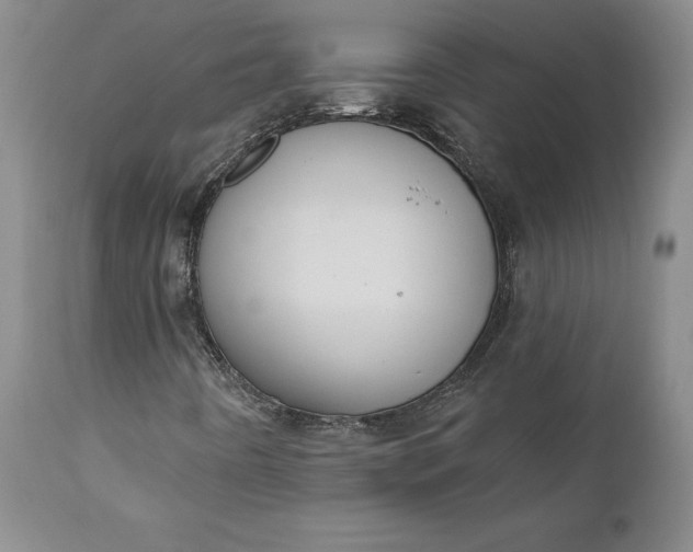 X0000110921442200907021448