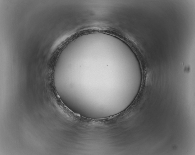 X0000110921448200907021448