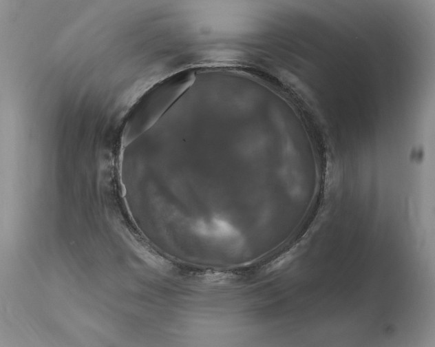 X0000110921449200907021448