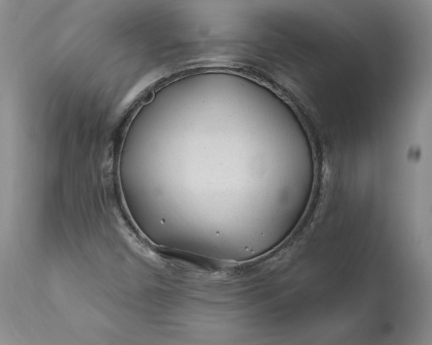 X0000110921450200907021448