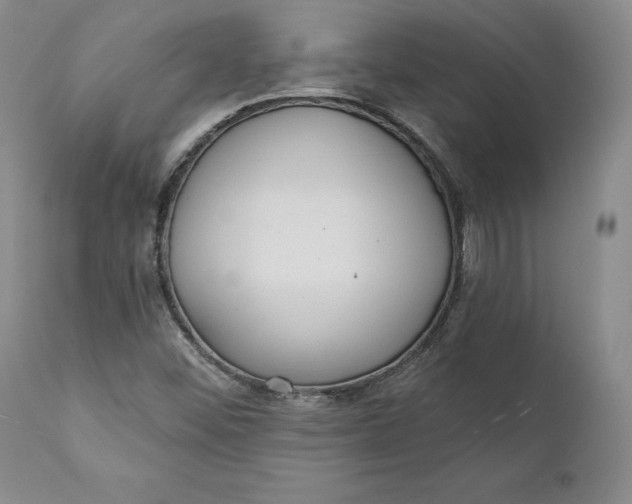 X0000110921452200907021448