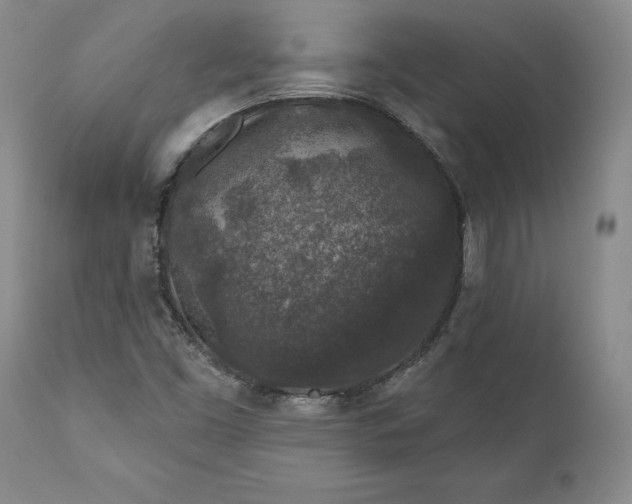 X0000110921453200907021448