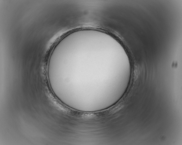 X0000110921454200907021448