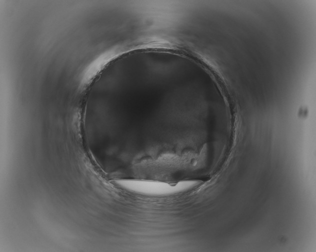 X0000110921455200907021448