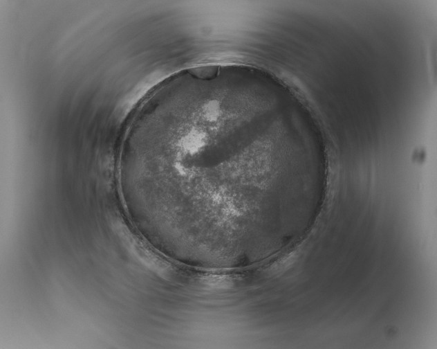 X0000110921457200907021448