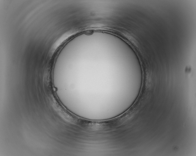 X0000110921458200907021448