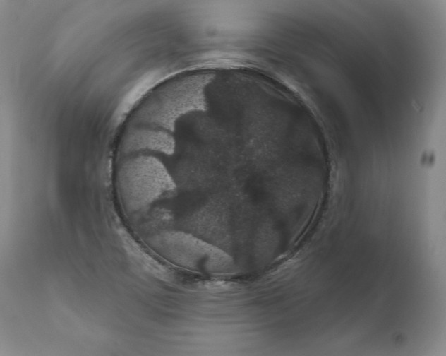 X0000110921459200907021448