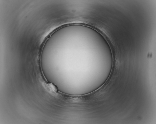 X0000110921460200907021448