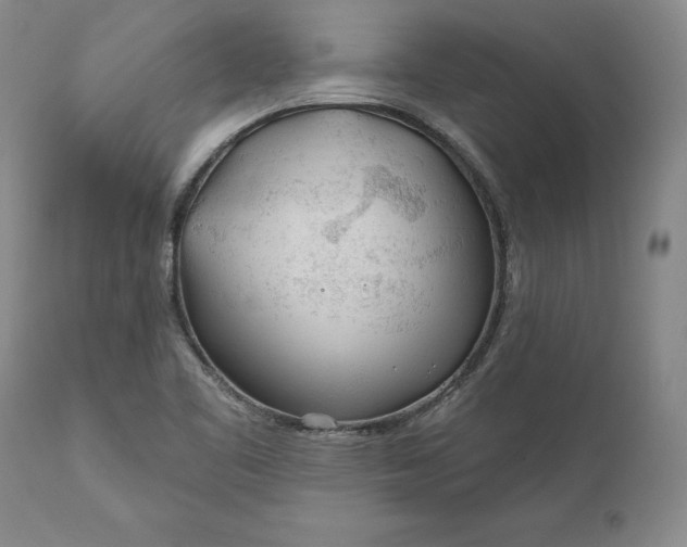 X0000110921461200907021448