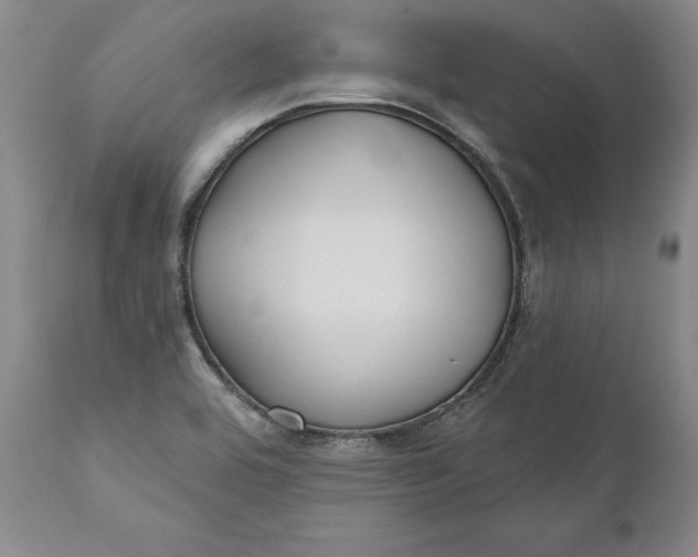 X0000110921464200907021448