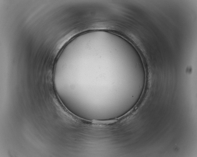 X0000110921465200907021448