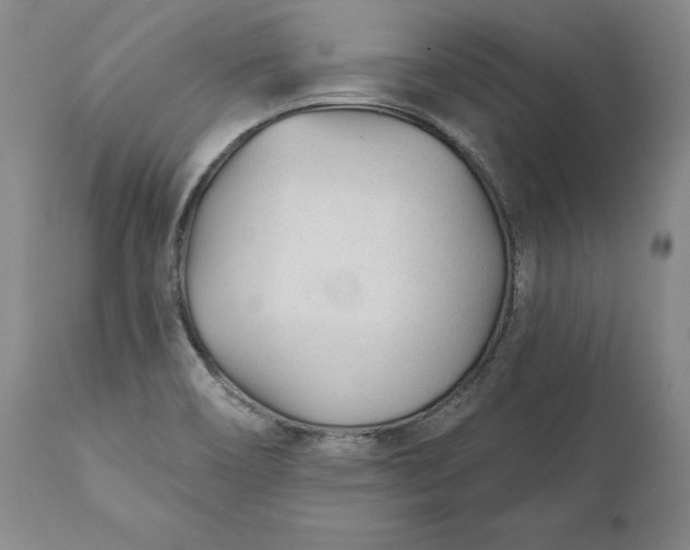 X0000110921466200907021448