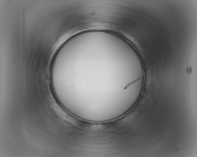 X0000110921467200907021448
