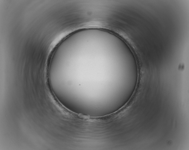 X0000110921469200907021448