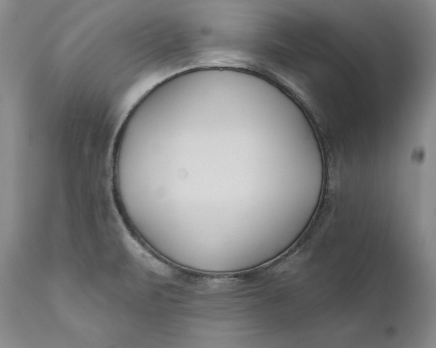 X0000110921471200907021448