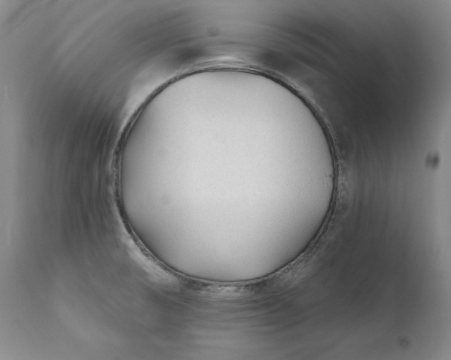 X0000110921474200907021447