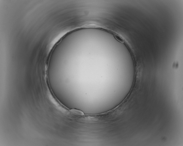 X0000110921476200907021447