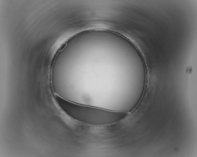 X0000110921477200907021447