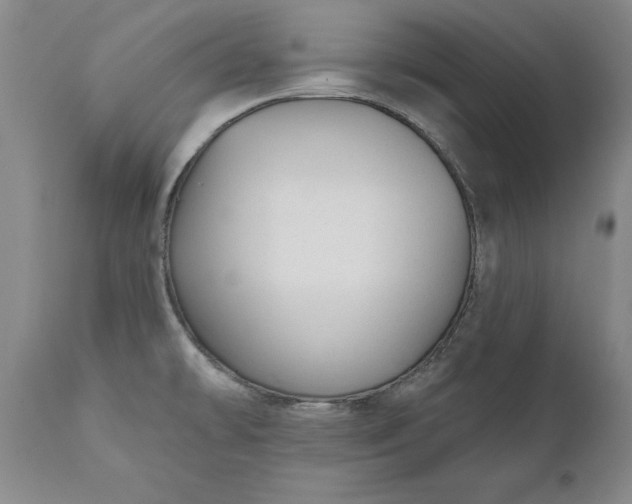 X0000110921478200907021447
