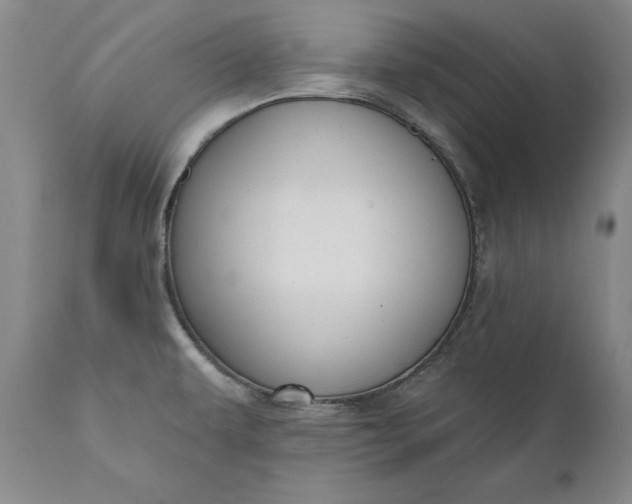 X0000110921479200907021447