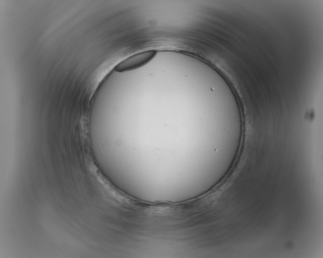 X0000110921481200907021447