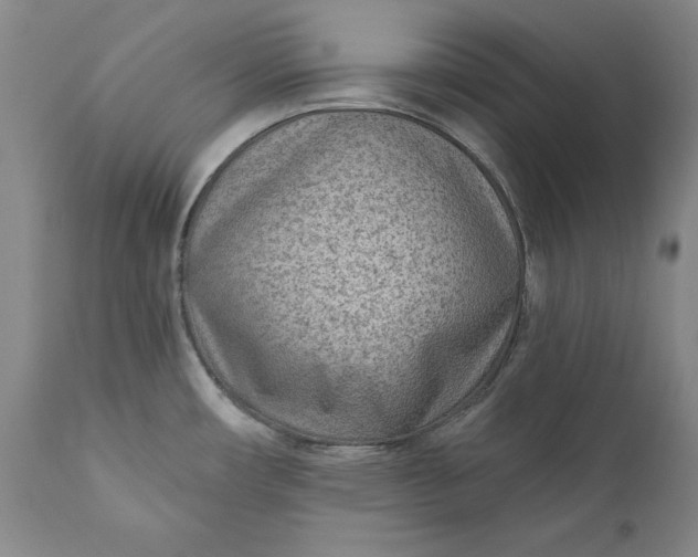 X0000110921482200907021447