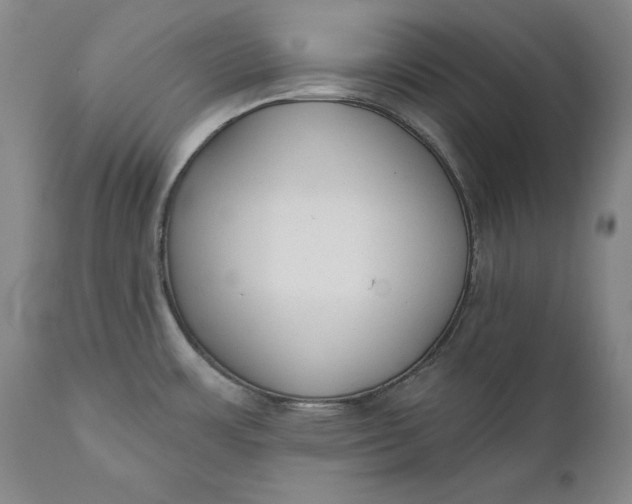 X0000110921483200907021447