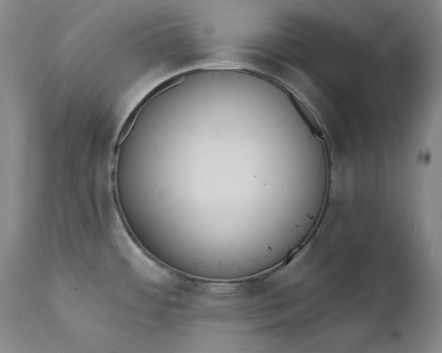 X0000110921484200907021447