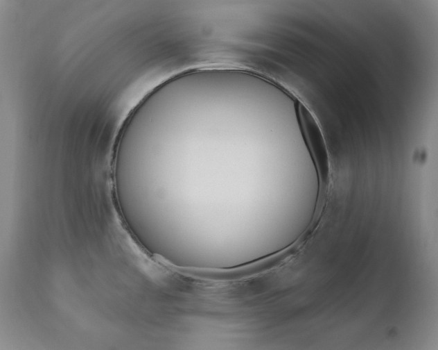 X0000110921485200907021447
