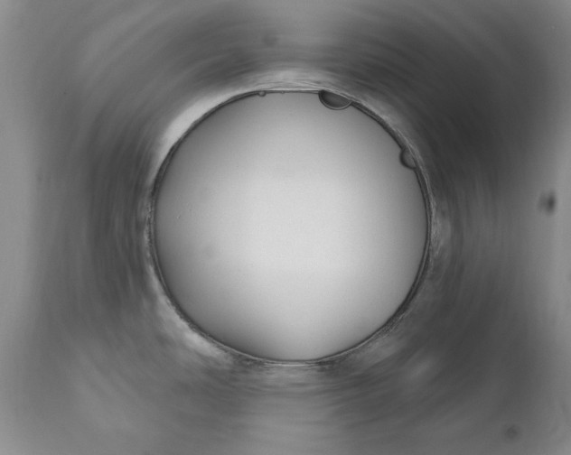 X0000110921486200907021447