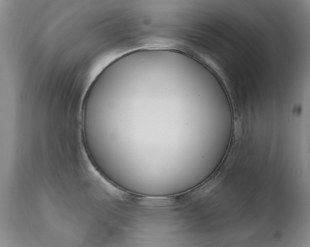 X0000110921487200907021447