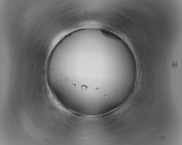X0000110921488200907021447