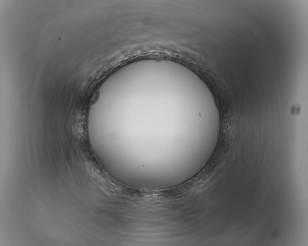X0000110921490200907021446