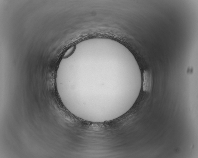 X0000110921491200907021446