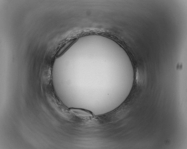 X0000110921492200907021446